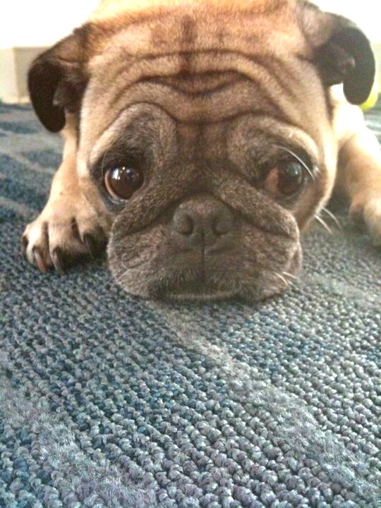 179389_495381616921_686786921_6769045_7312595_n