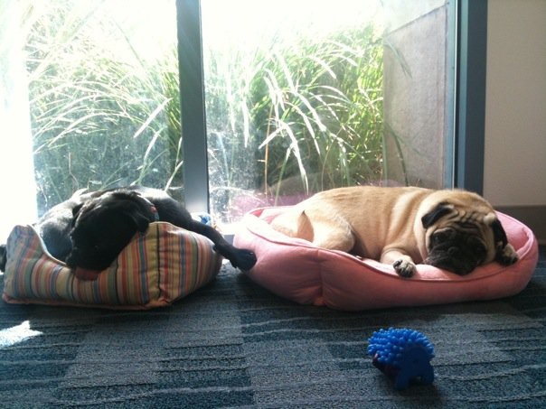 26737_388405026921_686786921_4572466_4605792_n