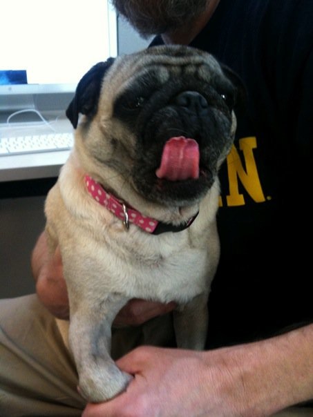 26737_388405026921_686786921_4572466_4605792_n