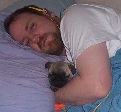 Little Sheba the Hug Pug - 5 years of Puppy Fun in Palo Alto