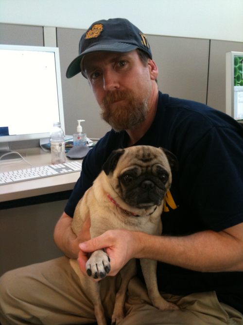 Little Sheba the Hug Pug is 6 years old