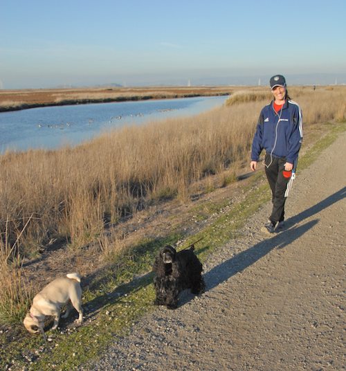 Rio and Sheba Hu Pug Bay Walk - December 15 2007!