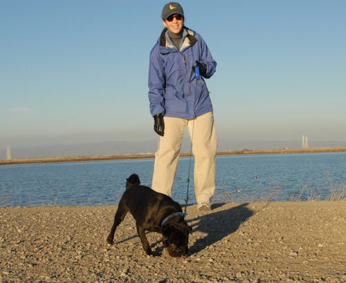 Rio and Sheba Hu Pug Bay Walk - December 15 2007!