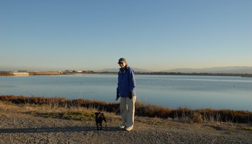 Rio and Sheba Hu Pug Bay Walk - December 15 2007!