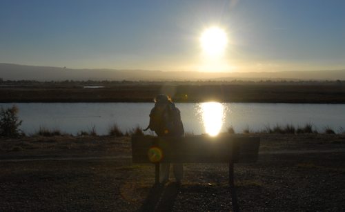 Rio and Sheba Hu Pug Bay Walk - December 15 2007!