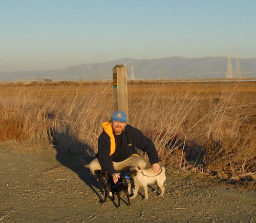 Rio and Sheba Hu Pug Bay Walk - December 15 2007!