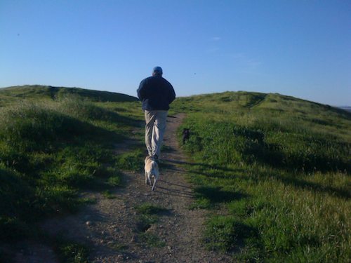 Rio and Sheba Climb Mountain View's Vista Slope