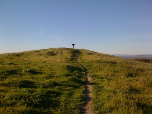 Rio and Sheba Climb Mountain View's Vista Slope