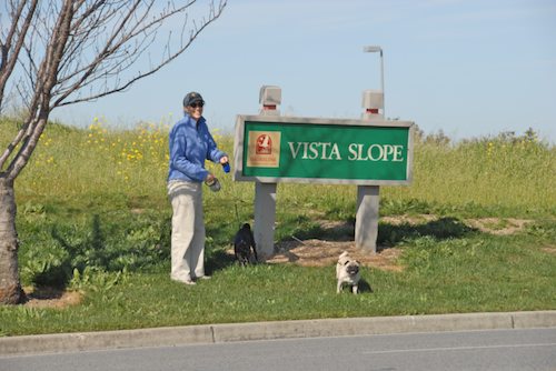 Rio and Sheba have fun in Mountain View