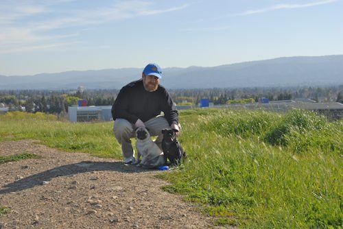 Rio and Sheba have fun in Mountain View