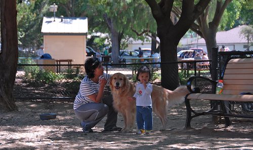 Rio and Sheba have fun with Daisy