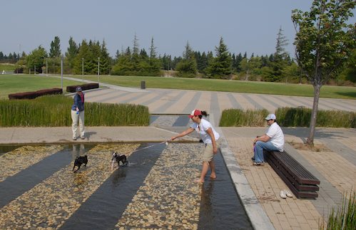 Sheba and Rio have fun at the Water Park & Trash Mountain
