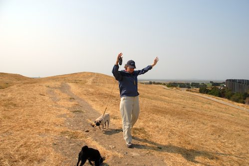 Sheba and Rio have fun at the Water Park & Trash Mountain