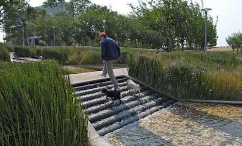Sheba and Rio have fun at the Water Park & Trash Mountain