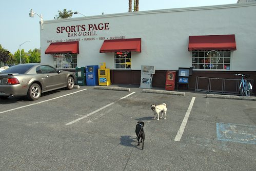Sheba and Rio have fun at the Water Park & Trash Mountain