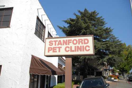 Sheba goes to the Doctor