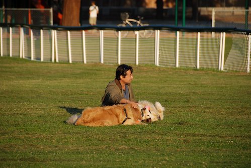 Palo Alto Dog Park Gang