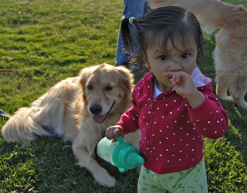 Palo Alto Dog Park Gang
