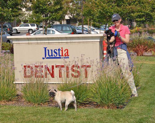 Sheba and Rio have fun at the Water Park & Trash Mountain