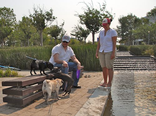 Sheba and Rio have fun at the Water Park & Trash Mountain