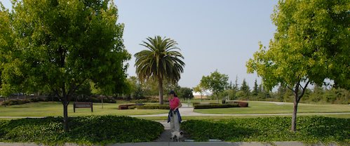 Sheba and Rio have fun at the Water Park & Trash Mountain