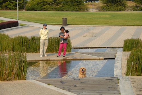 Daisy, Rio and Sheba Play