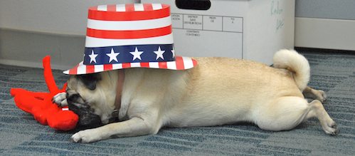 Happy Birthday America!!!