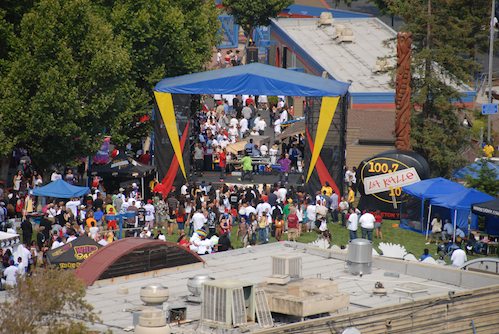 Sheba and Rio have fun at the Water Park & Trash Mountain
