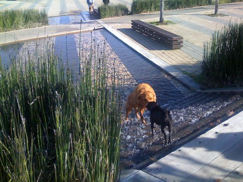 Hug Pugs with Santa Claus