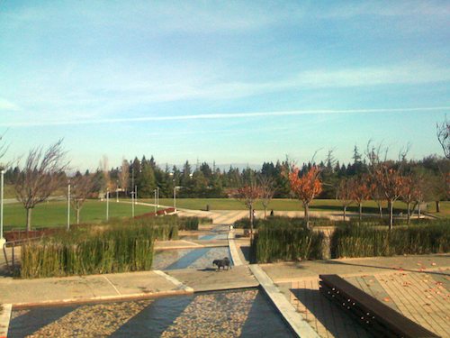 Hug Pugs with Santa Claus
