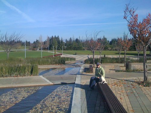 Hug Pugs with Santa Claus