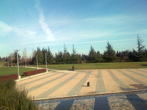 Hug Pugs with Santa Claus