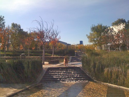 Hug Pugs with Santa Claus