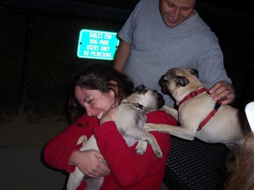 Sheba and Hoagie play with people