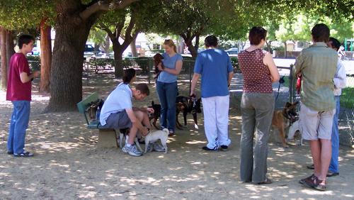 Dogs and People in separate parts of the park