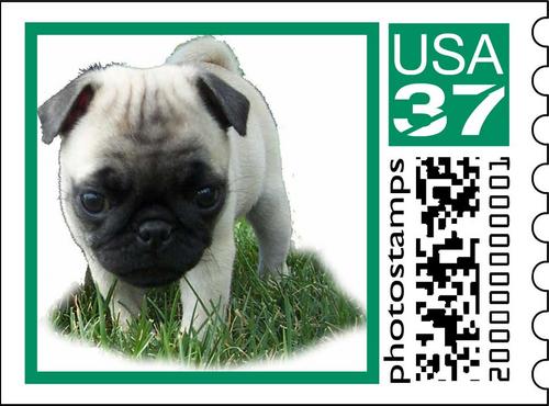 Sheba Stamp Series 1 Number 1