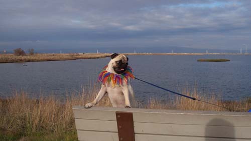 Fun - Exit Stage Left