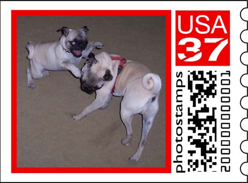 Sheba Stamp Series 4 Number 2