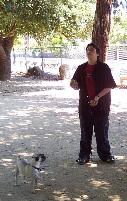 Adam Juggling for Sheba close up