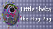 Little Sheba Banner