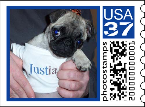 Click Here to go to Stamps.com's Photo Stamps