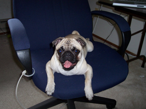 Listening to MICHIGAN beat MSU 45 - 37