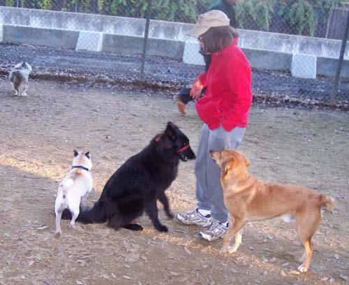 Winston guarding while we played