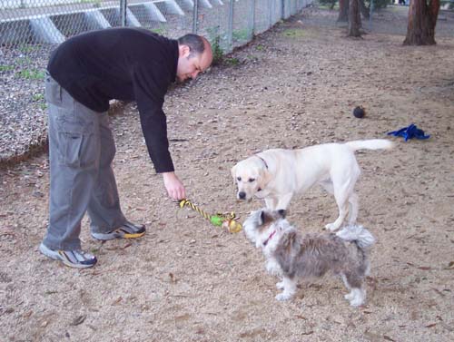 Winston beating his peep at Tug of War