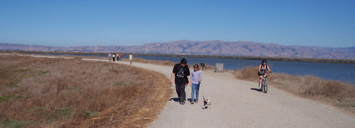 Adam, Julia and Sheba walking back