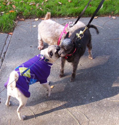 Kissing up with Ruth and Mary Right