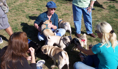 Pug Hug Circles