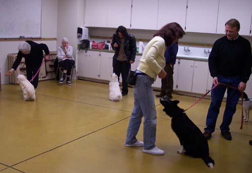 Sirius Training - Gioia, DeeDee and Willis