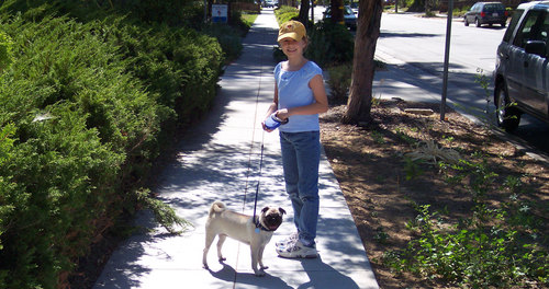 Julia and Sheba take a walk