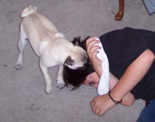 Adam let's Sheba win